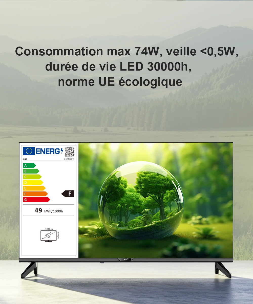 HKC 42Q1L 42 Inch FHD Smart TV
