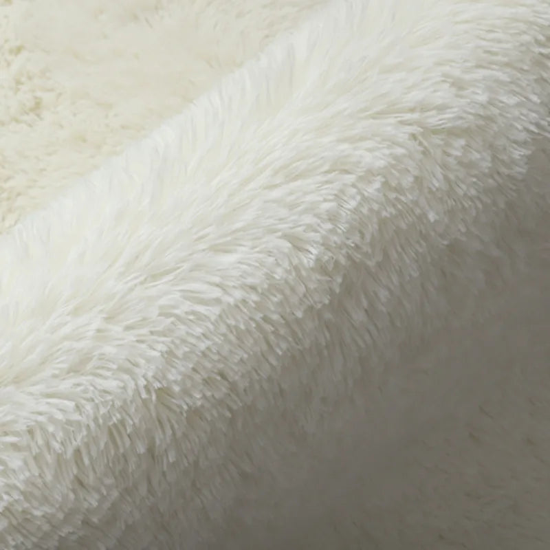 SOFT GROUND - Fluffy Anti-Slip Area Rug - The Carpet That Feels Like a Cloud