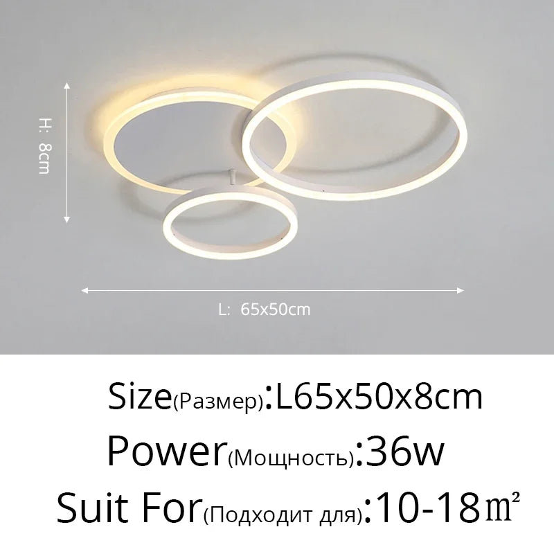 Modern LED Ceiling Light – 2 to 6 Heads