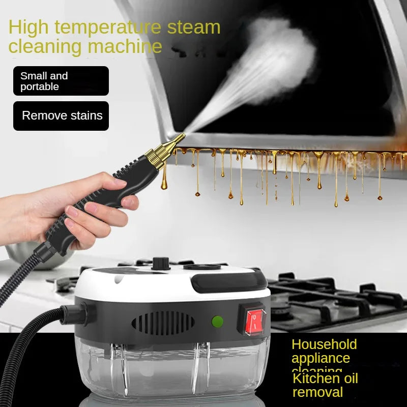 Steam Cleaner High Temperature Sterilization 110V/220V