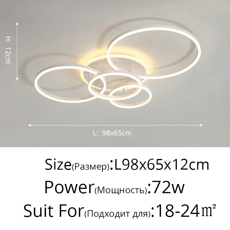 Modern LED Ceiling Light – 2 to 6 Heads