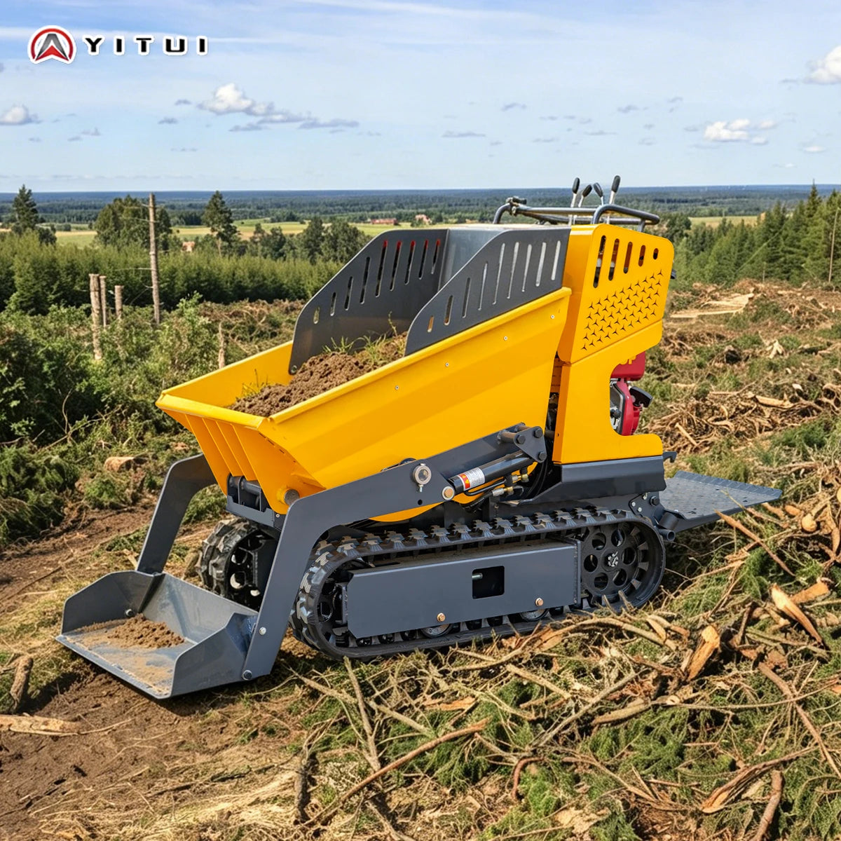 MINI TRACKED DUMPER - Self-Propelled, 500 kg Listed - Narrow-Site Hauling