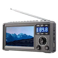 4.3 Inch HD Portable Video Player FM Radio Bluetooth Speaker