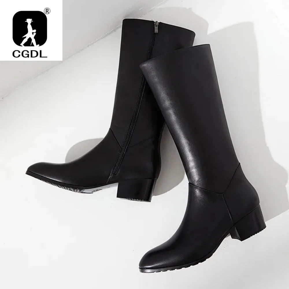 Men's Genuine Leather Knee-High Boots - Italian Retro Pointed Toe Lace-Up Winter Boots