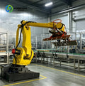 Automatic Palletizing Robot - PLC Control - High Output