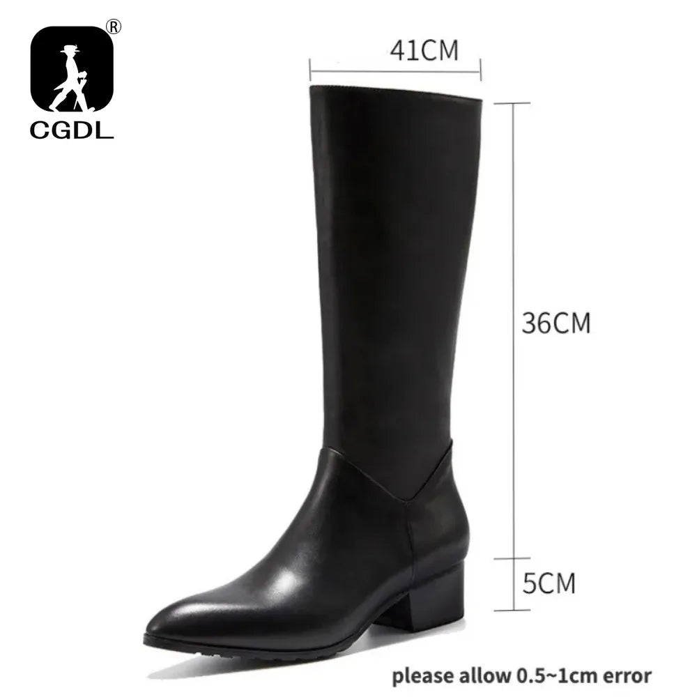Men's Genuine Leather Knee-High Boots - Italian Retro Pointed Toe Lace-Up Winter Boots
