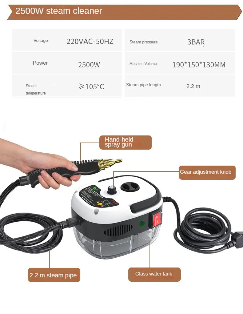 Steam Cleaner High Temperature Sterilization 110V/220V