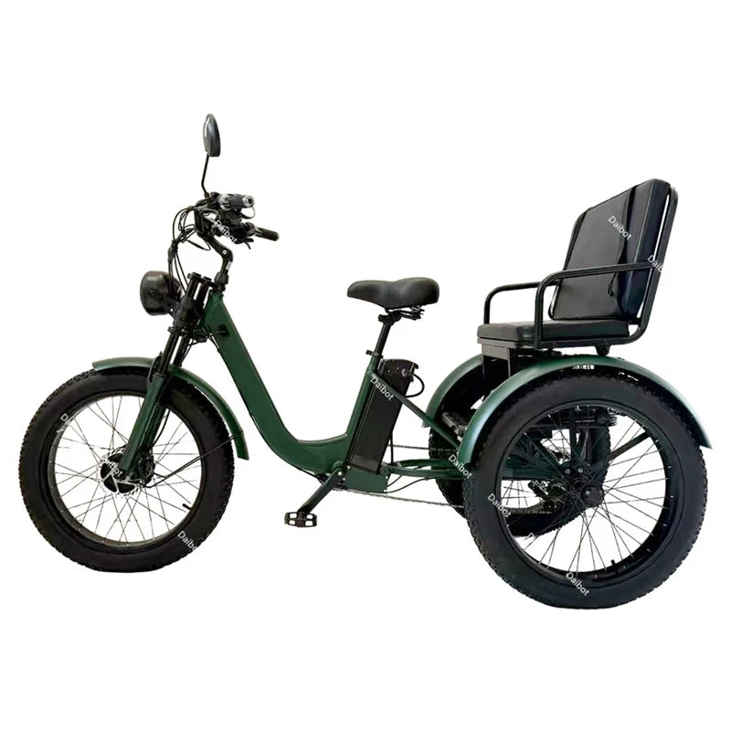 DAIBOT 3-WHEEL E-BIKE - 750W, 40 KM Range - Passenger Cruiser