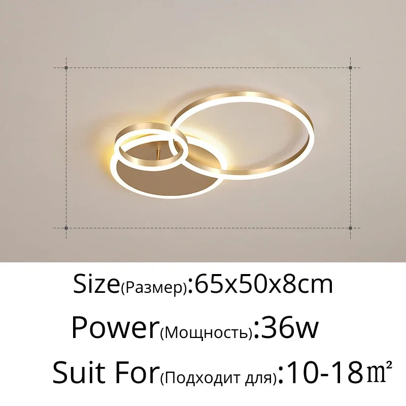 Modern LED Ceiling Light – 2 to 6 Heads