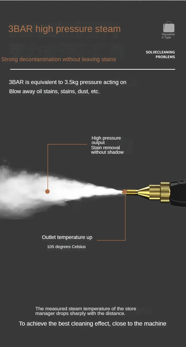 Steam Cleaner High Temperature Sterilization 110V/220V