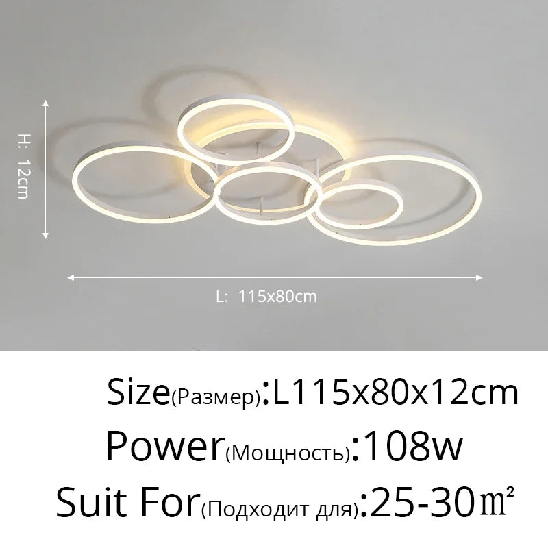 Modern LED Ceiling Light – 2 to 6 Heads