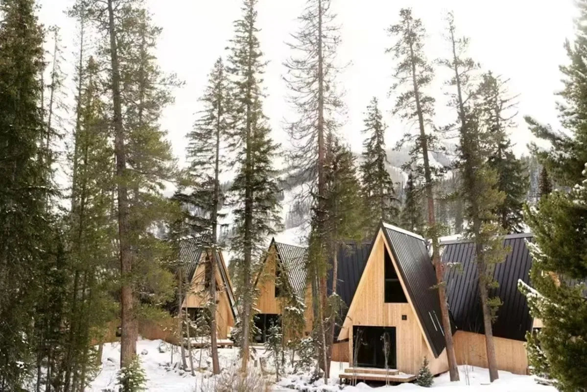 Triangle A-Frame Prefab Tiny Cabin Wooden Villa