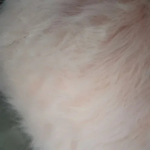 FAUX FUR THICK - Imitation Dog Hair Plush Fabric - 8 Colors, 160cm Wide, By the Meter