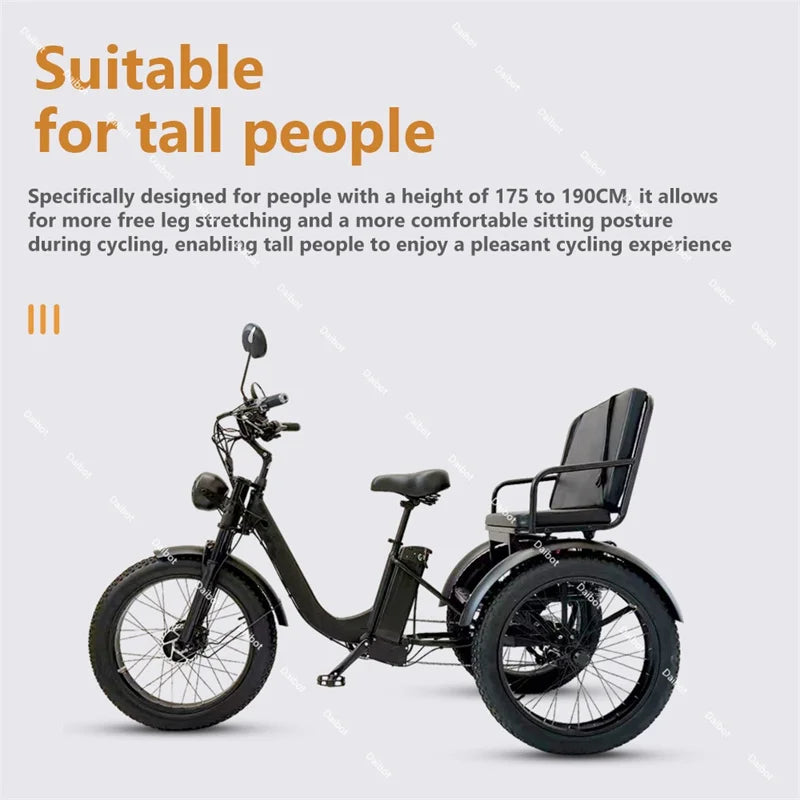 DAIBOT 3-WHEEL E-BIKE - 750W, 40 KM Range - Passenger Cruiser