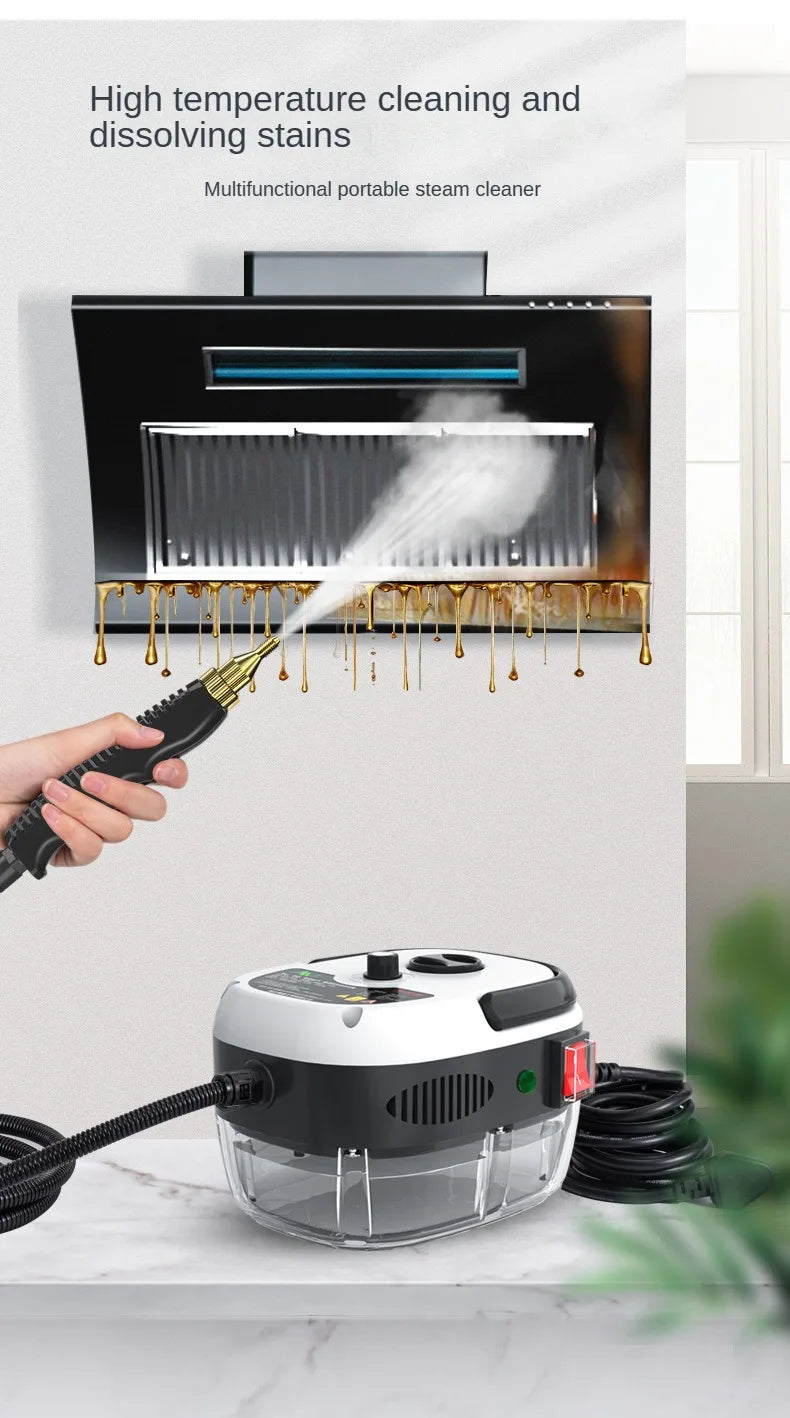 Steam Cleaner High Temperature Sterilization 110V/220V